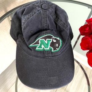 Nichols College Bison hat